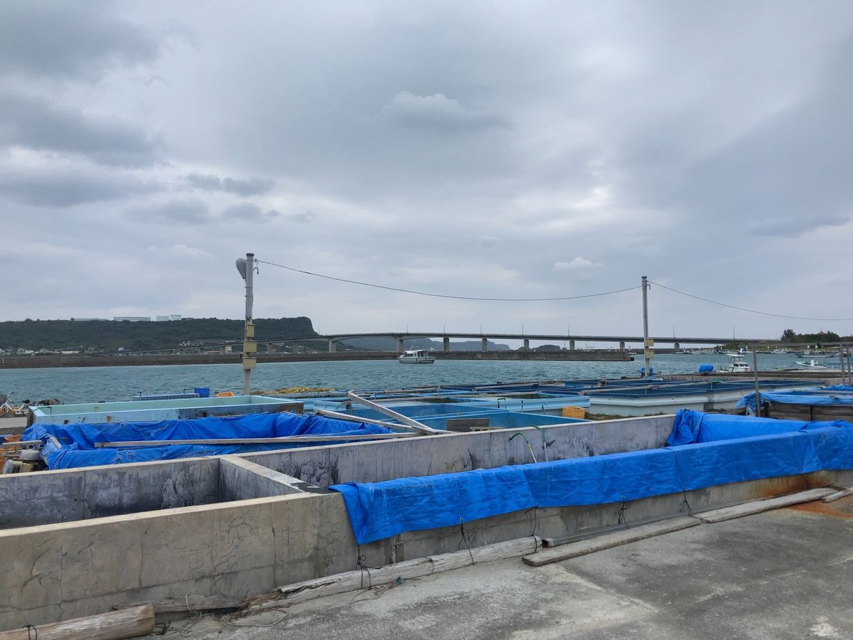 3日目スタート❗️
先ずは、ぬちまーす観光製塩ファクトリー🧂
果報バンダ🌊