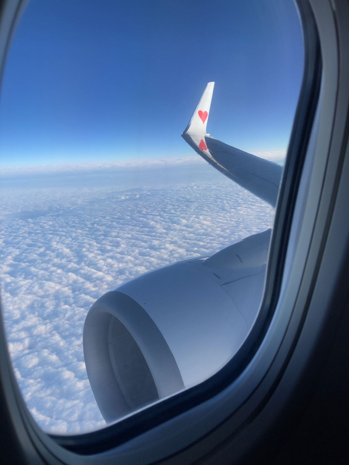 6:05名古屋発那覇行SKY549便搭乗✈️
息子2人は初飛行機に緊張⁉️