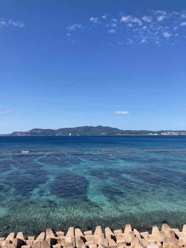 日本・沖縄「2023沖縄」の写真：明日は美ら海水族館へ行くので本部町まで移...