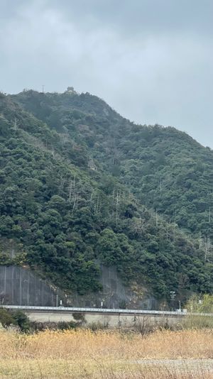 岐阜戦観戦