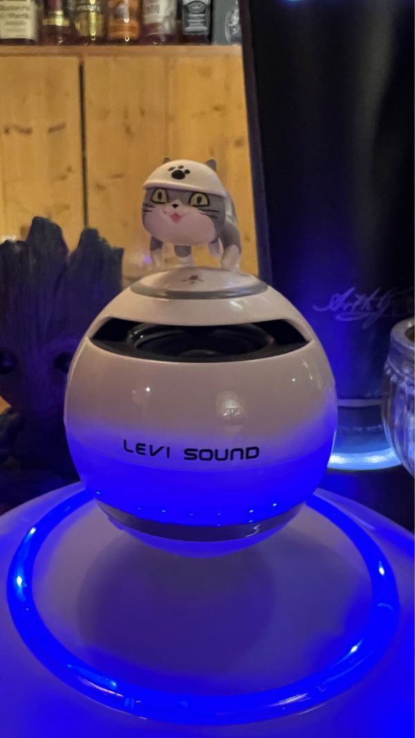 日本・岡山県「岡山で妻と忘年会」の写真：一年を振り返って妻と忘年会