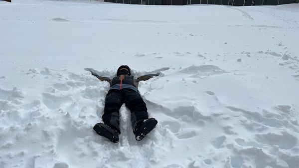 日本・岩手県「安比高原でスキー」の写真：楽しかったよ