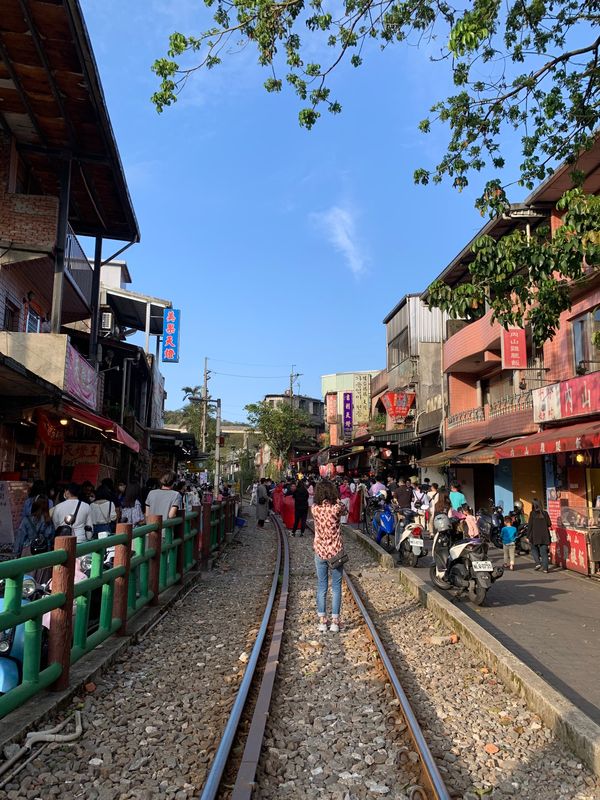 台湾・台北「台湾」の写真