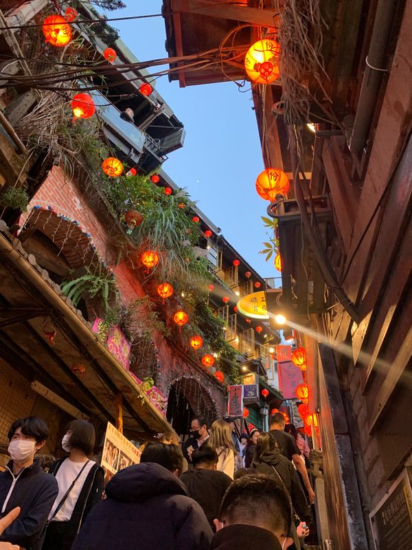 台湾・台北「台湾」の写真