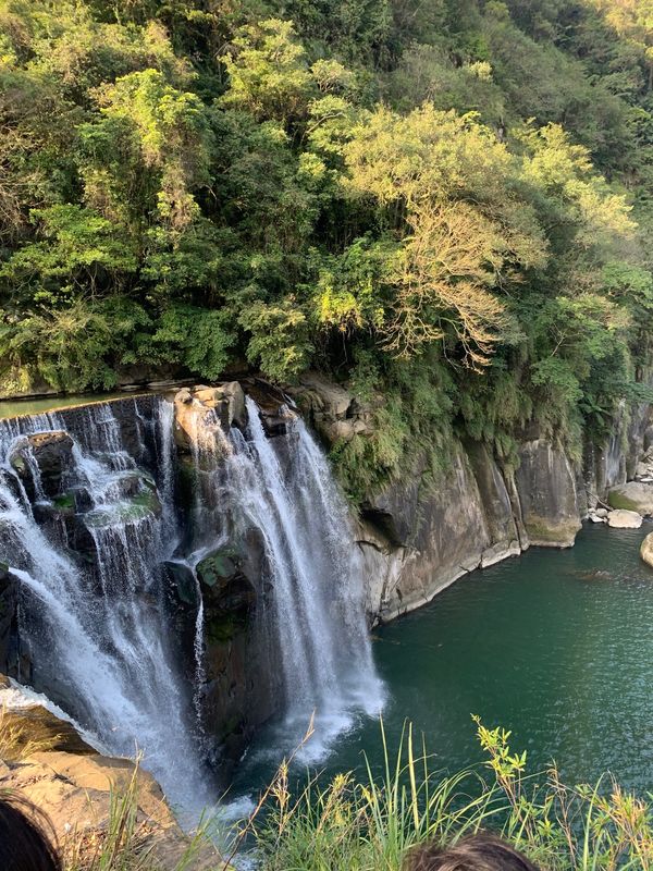 台湾・台北「台湾」の写真
