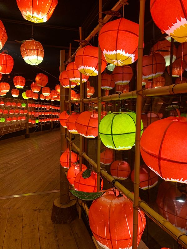 日本「青森」の写真