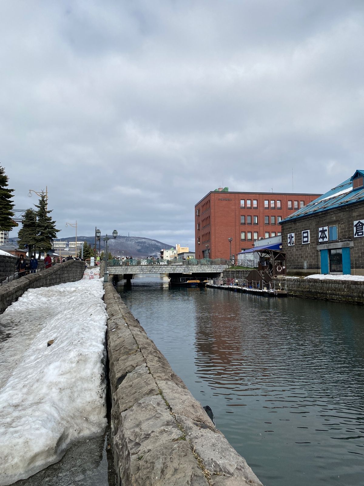 札幌への帰り道、小樽に寄って海鮮丼。
とても贅沢。