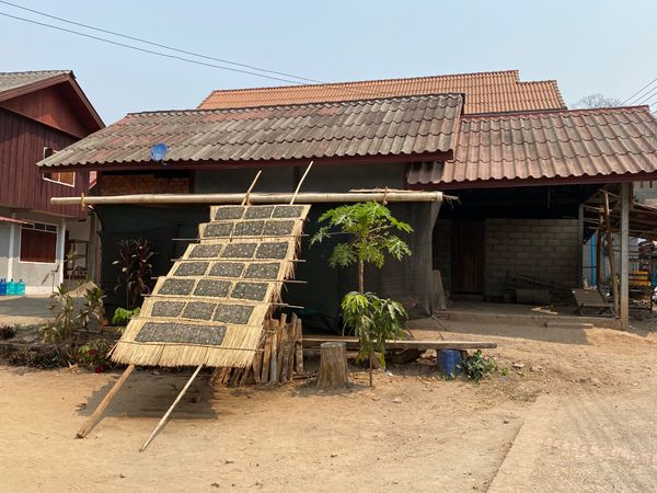 ラオス人民民主共和国・ルアンパバーン「ラオス🇱🇦」の写真：パクウー洞窟のあと、サンコン村、サンハイ...