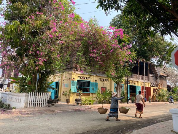 ラオス人民民主共和国・ルアンパバーン「ラオス🇱🇦」の写真：ルアンパバーンの街並み