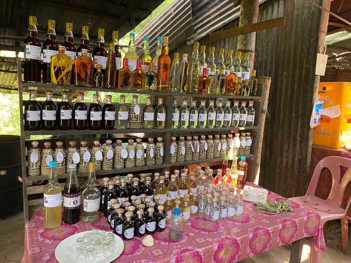 パクウー洞窟のあと、サンコン村、サンハイ村にも立ち寄ってくれた。実は象乗り...