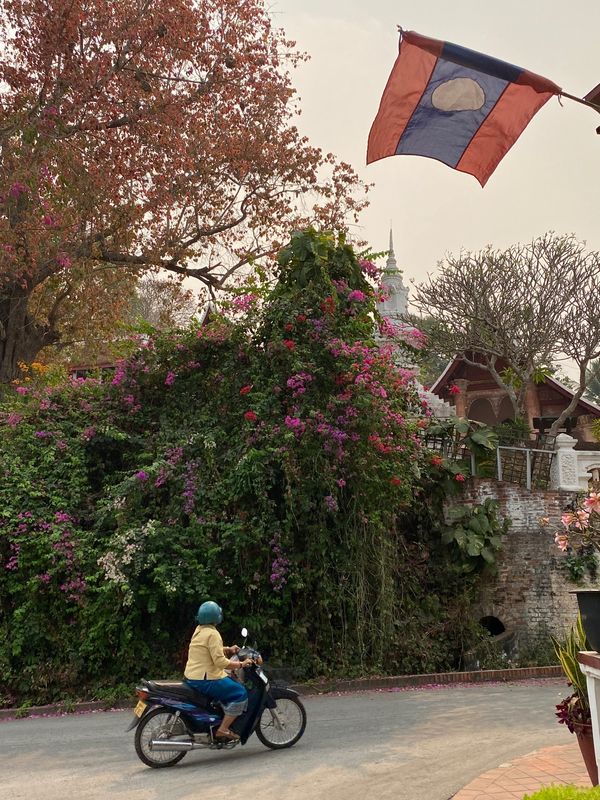 ラオス人民民主共和国・ルアンパバーン「ラオス🇱🇦」の写真：ルアンパバーンの街並み②