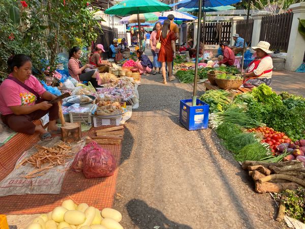 ラオス人民民主共和国・ルアンパバーン「ラオス🇱🇦」の写真：ルアンパバーンの朝市。
衝撃的なものも…🦇