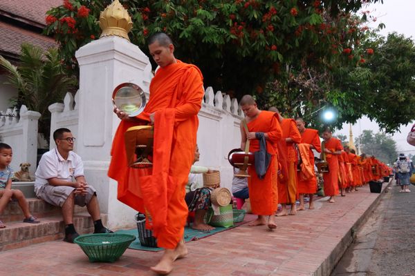 ラオス人民民主共和国・ルアンパバーン「ラオス🇱🇦」の写真：bamboo airways→lao a...