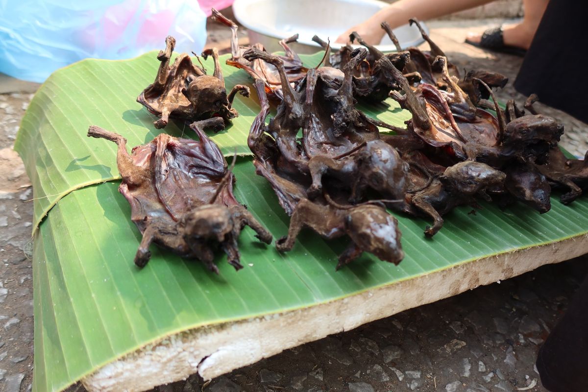 ルアンパバーンの朝市。
衝撃的なものも…🦇