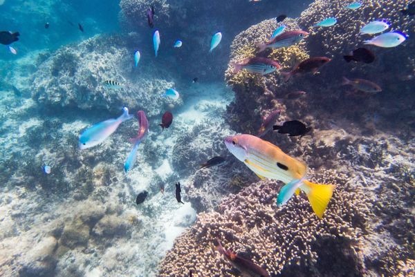 日本・沖縄県「久米島」の写真