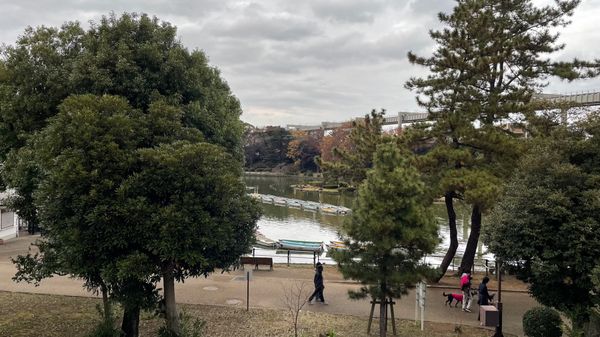 日本・千葉県「千葉」の写真：息子の七五三