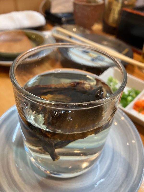 日本・長崎県「長崎出張」の写真