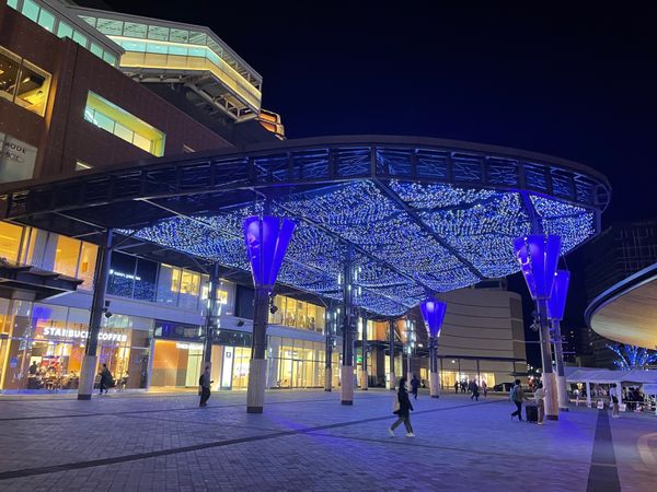 日本・大分県「大分県大分市_出張」の写真：大分県大分市　ブルーライトアップ