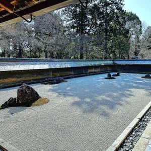 龍安寺の襖絵と枯山水として有名な石庭「方丈庭園」。という名前がついている「...