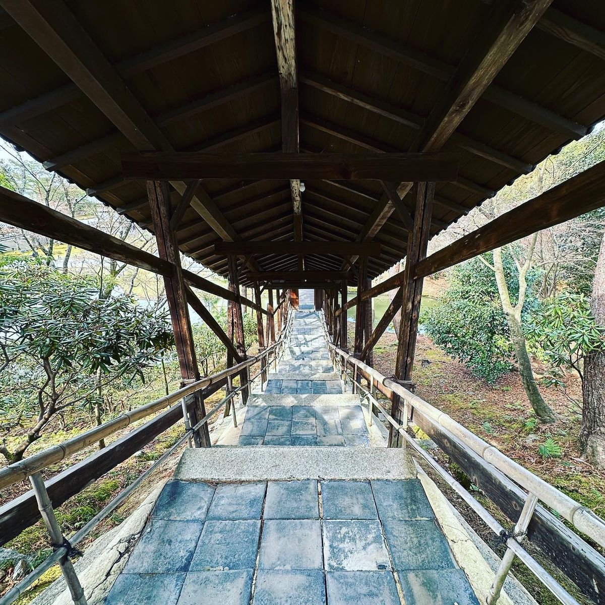 豊臣秀吉と北政所ねねの寺。枯山水も庭も竹林も美しかった