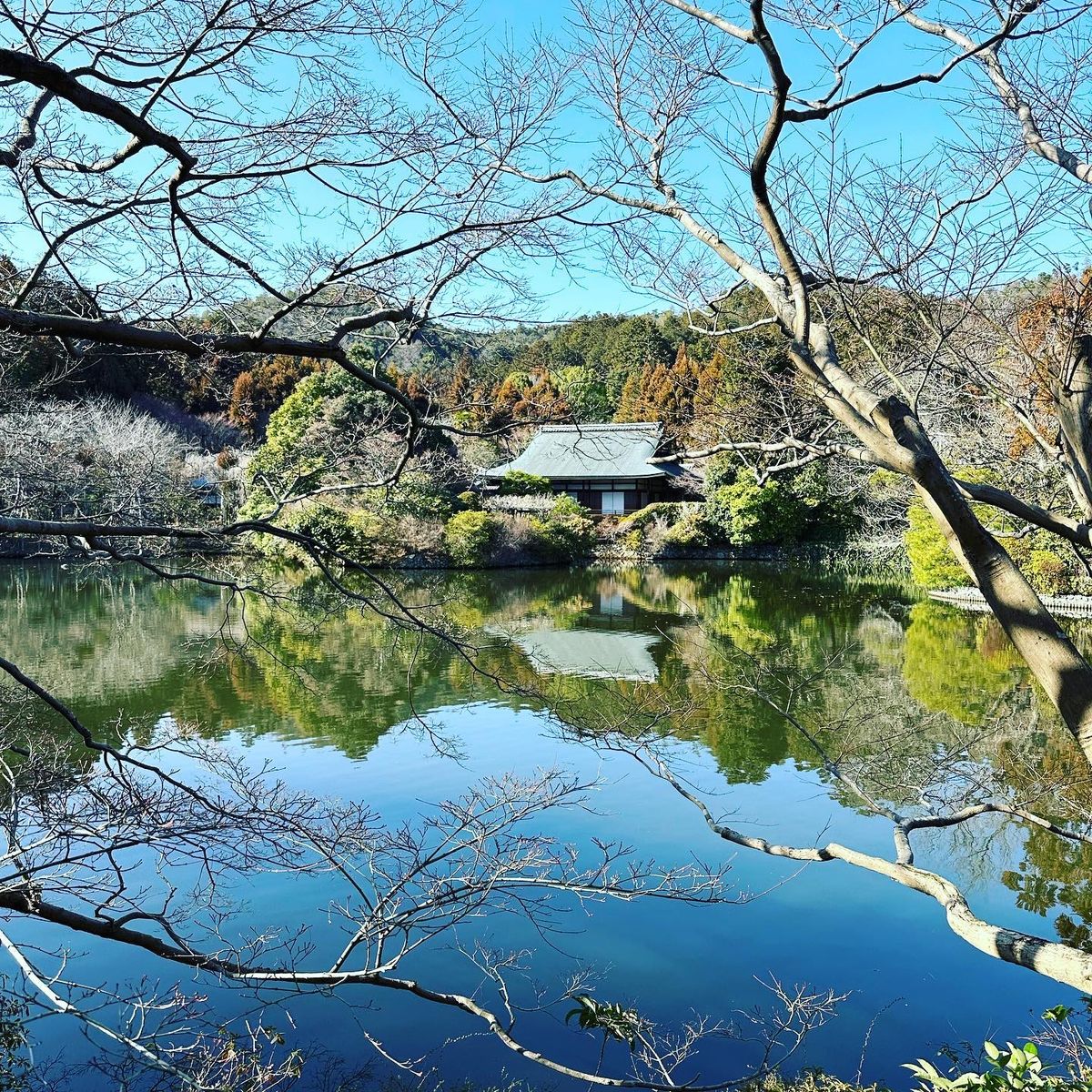 龍安寺の襖絵と枯山水として有名な石庭「方丈庭園」。という名前がついている「...