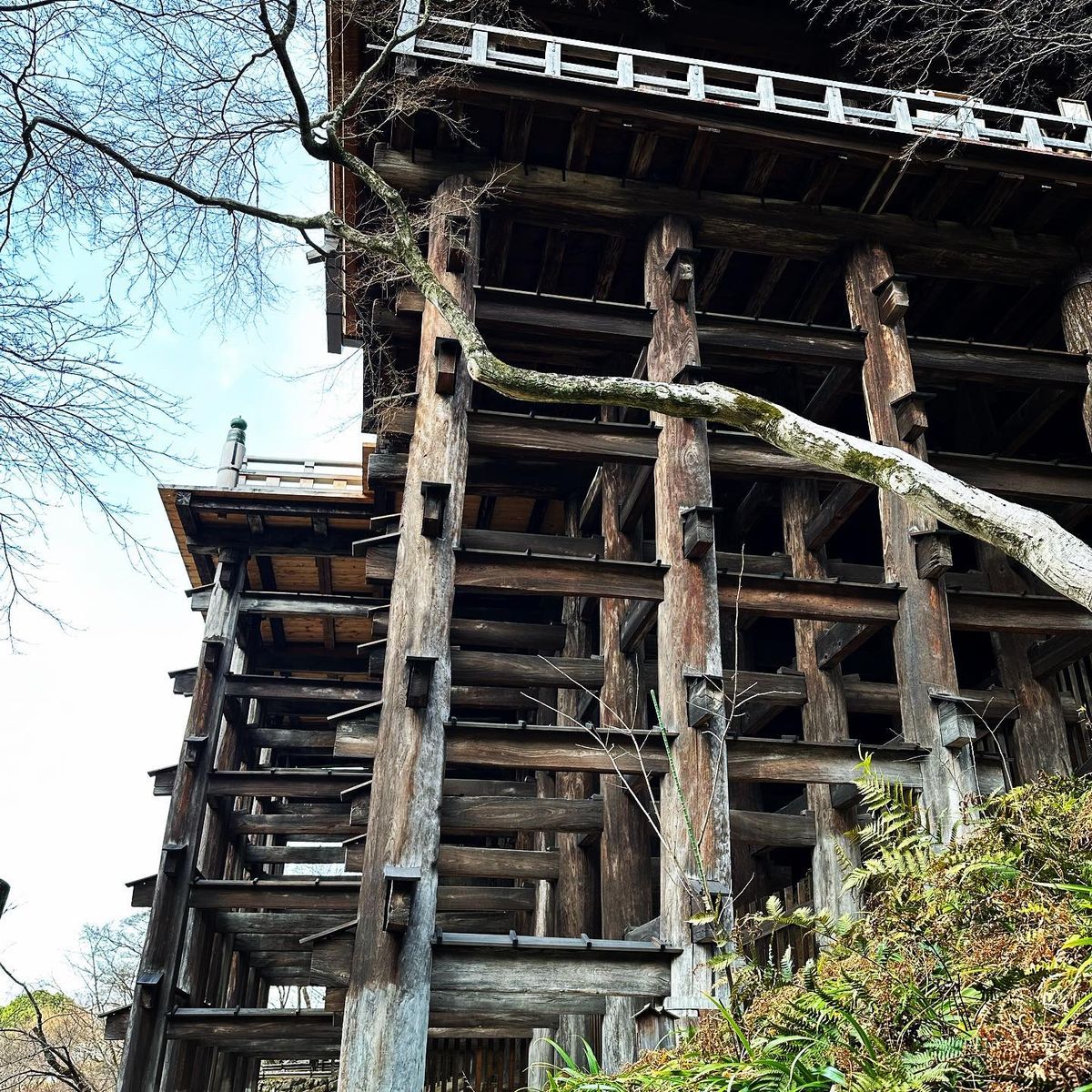 少し早起きして清水寺へ。まだ人もまばらで、迫力ある舞台とその木組みを心ゆく...