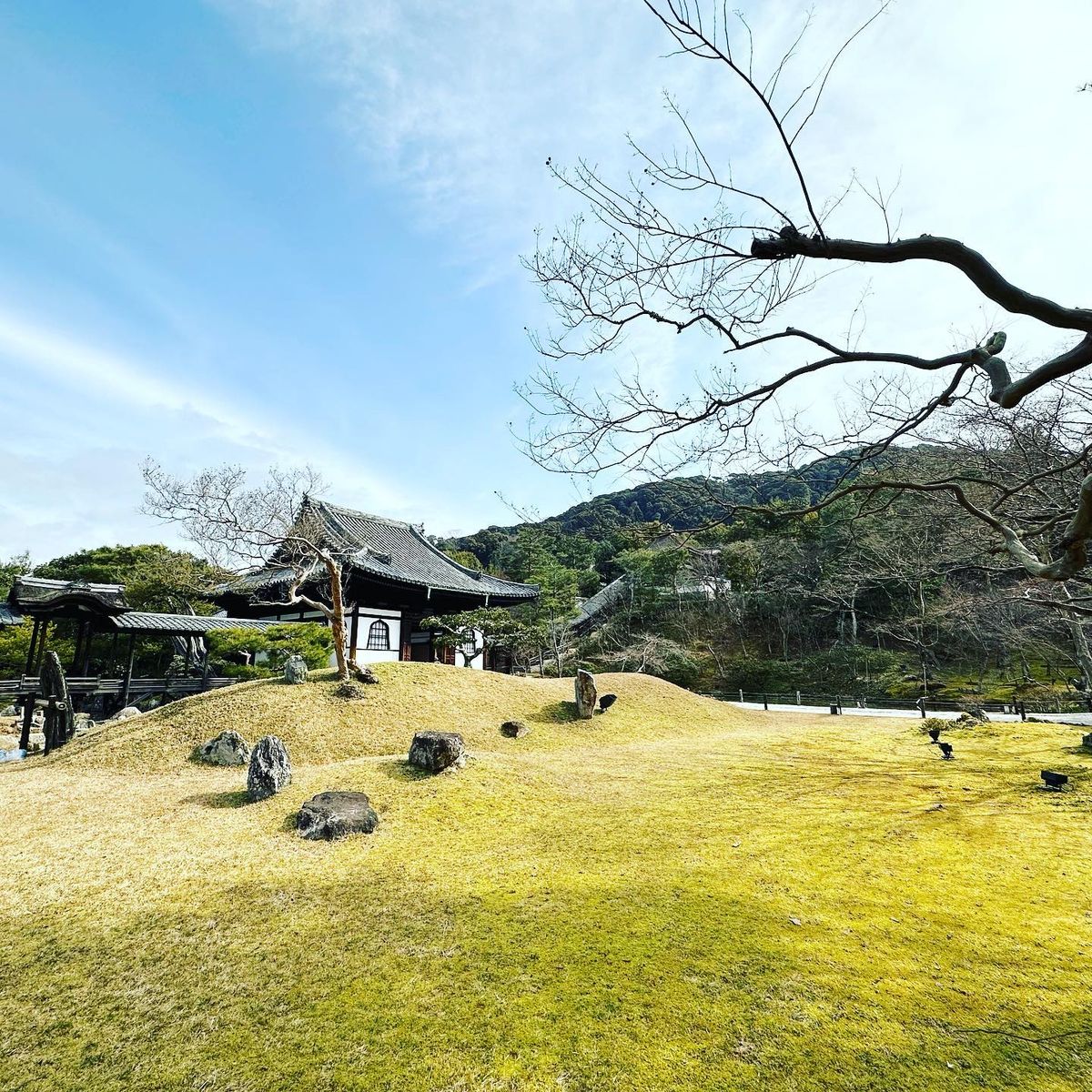 豊臣秀吉と北政所ねねの寺。枯山水も庭も竹林も美しかった