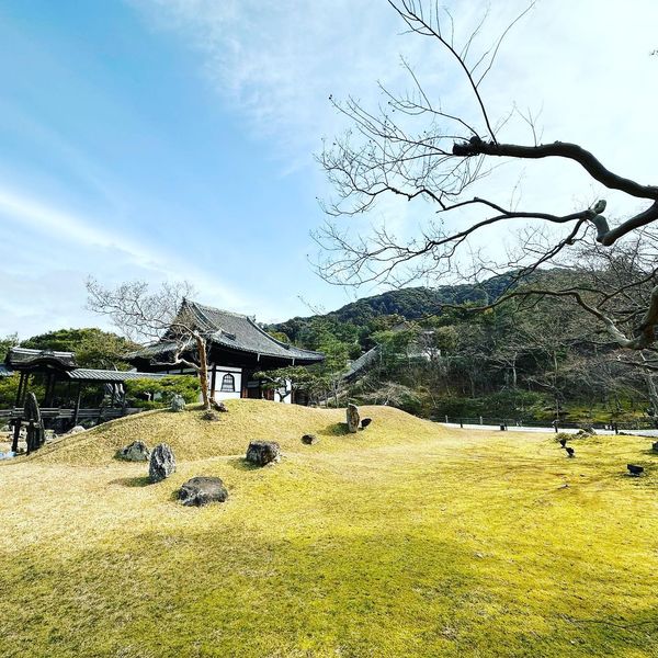 日本・京都府「弾丸京都」の写真：豊臣秀吉と北政所ねねの寺。枯山水も庭も竹...