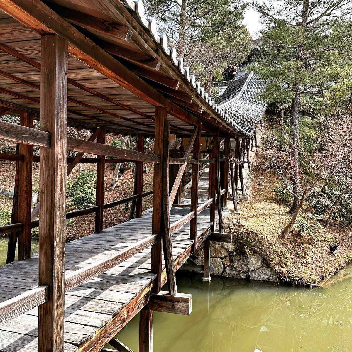 豊臣秀吉と北政所ねねの寺。枯山水も庭も竹林も美しかった