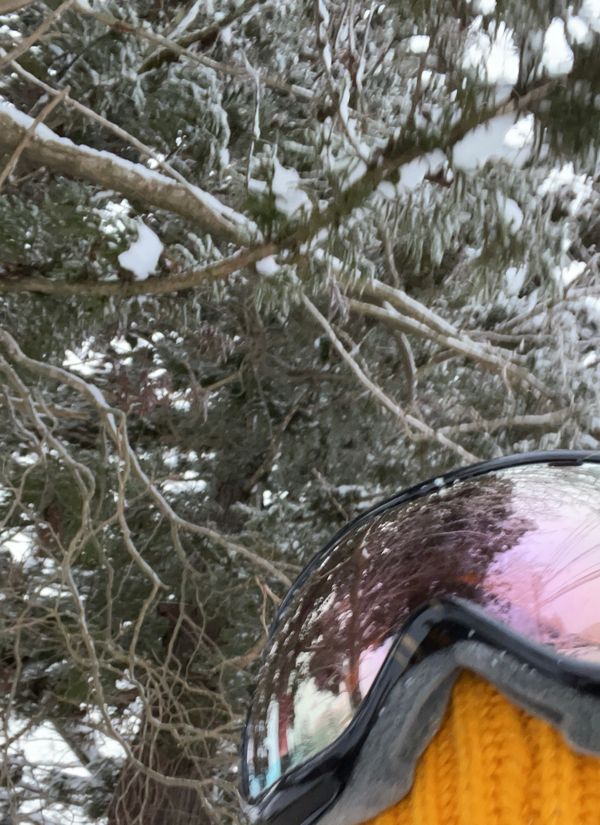 日本・長野県「長野・スノボ」の写真