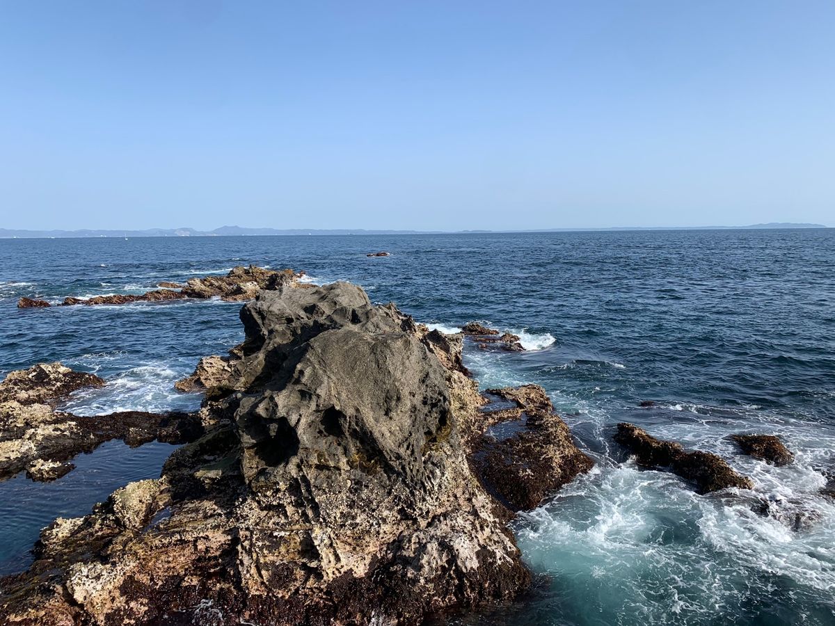 海がかなりキレイ
観光客多め
マグロは冷凍外洋のもの多め
水揚げが三崎って...