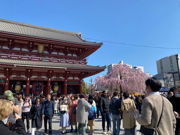 日本・浅草「前橋市立前橋高等学校同窓会」の写真