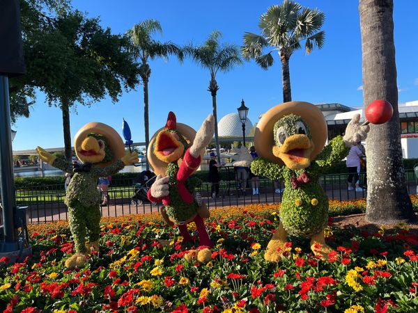 アメリカ(米国)・アメリカ「MCI✈︎」の写真