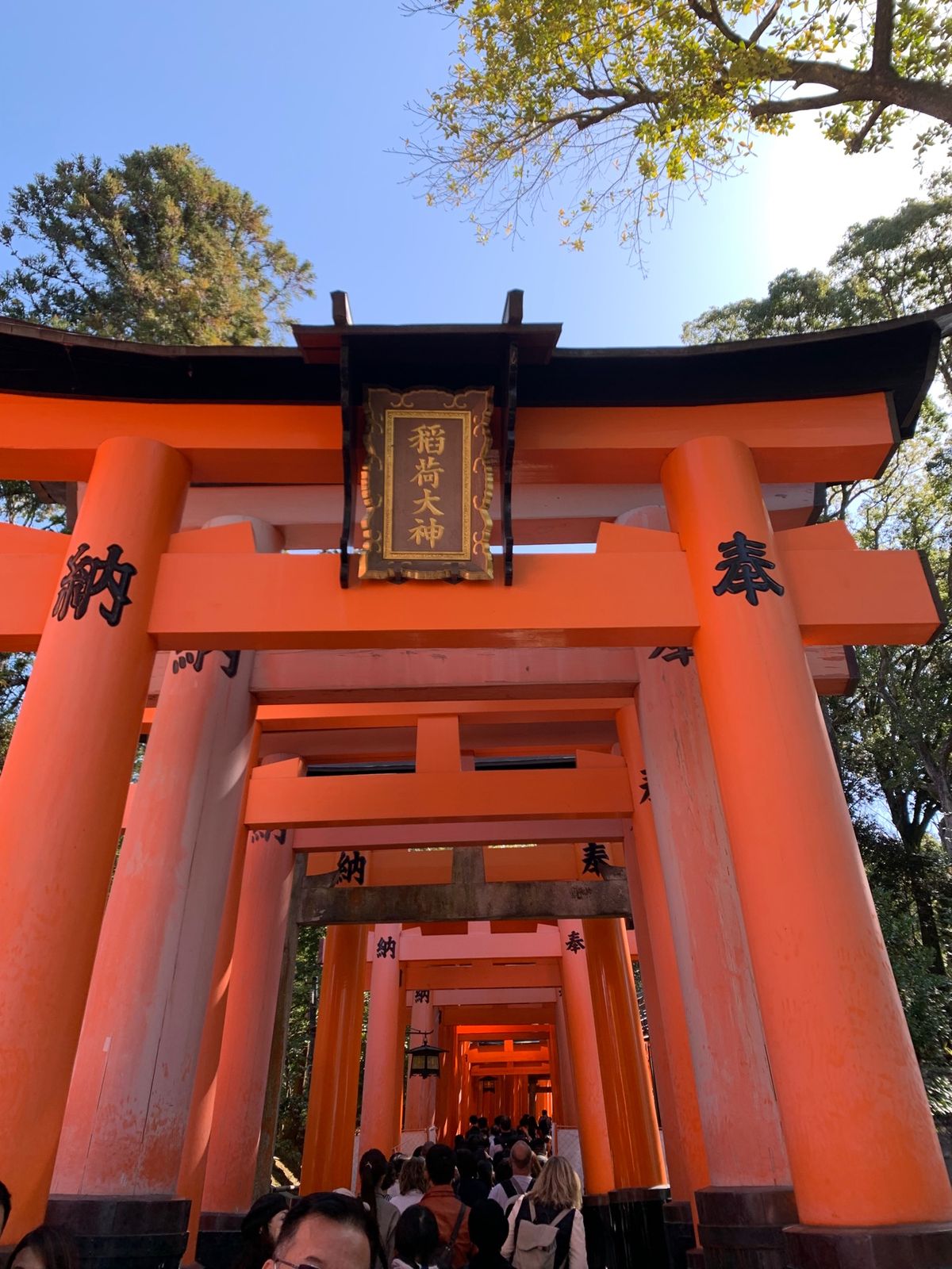伏見稲荷　清水寺　平安神宮