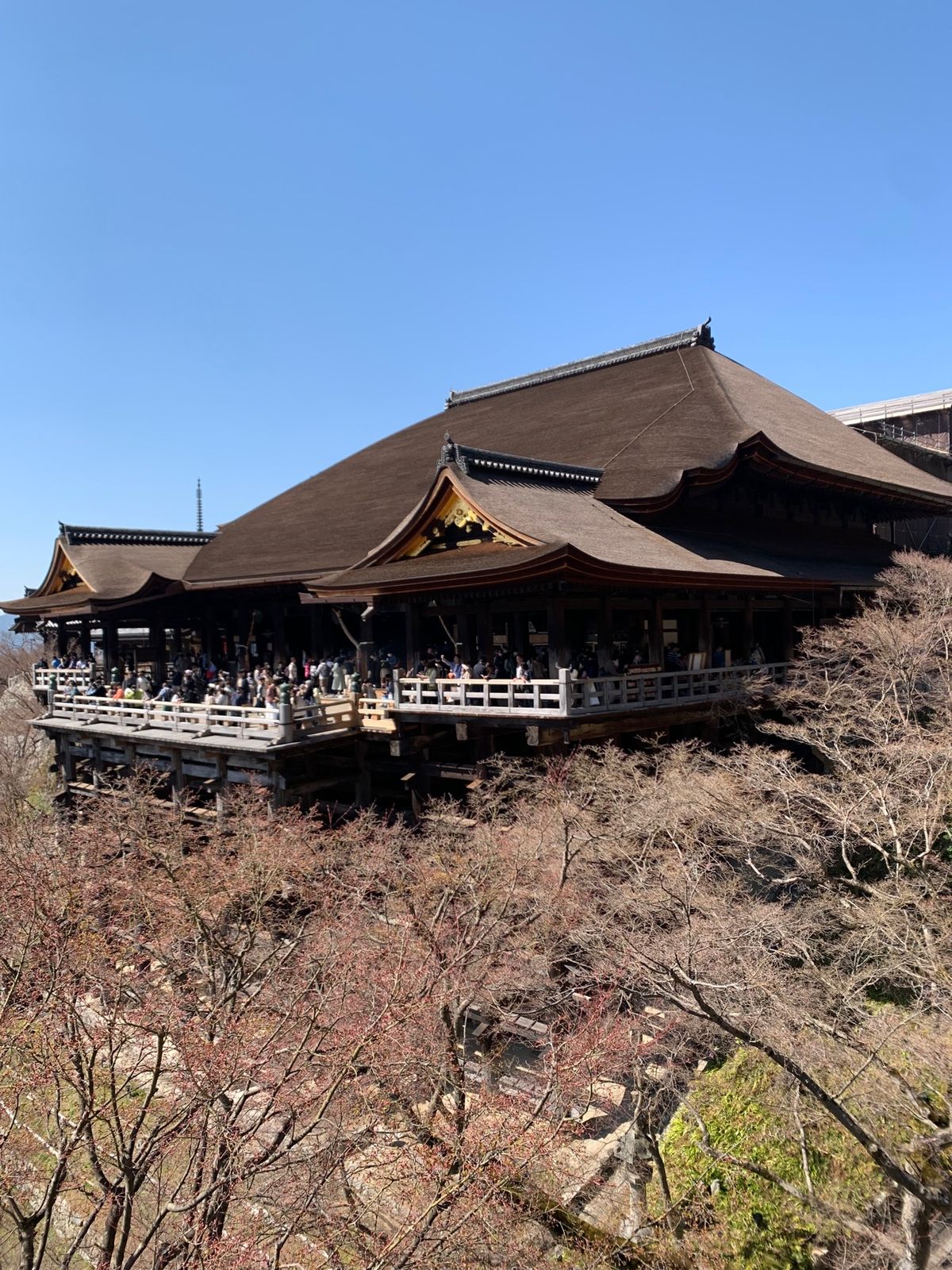 伏見稲荷　清水寺　平安神宮
