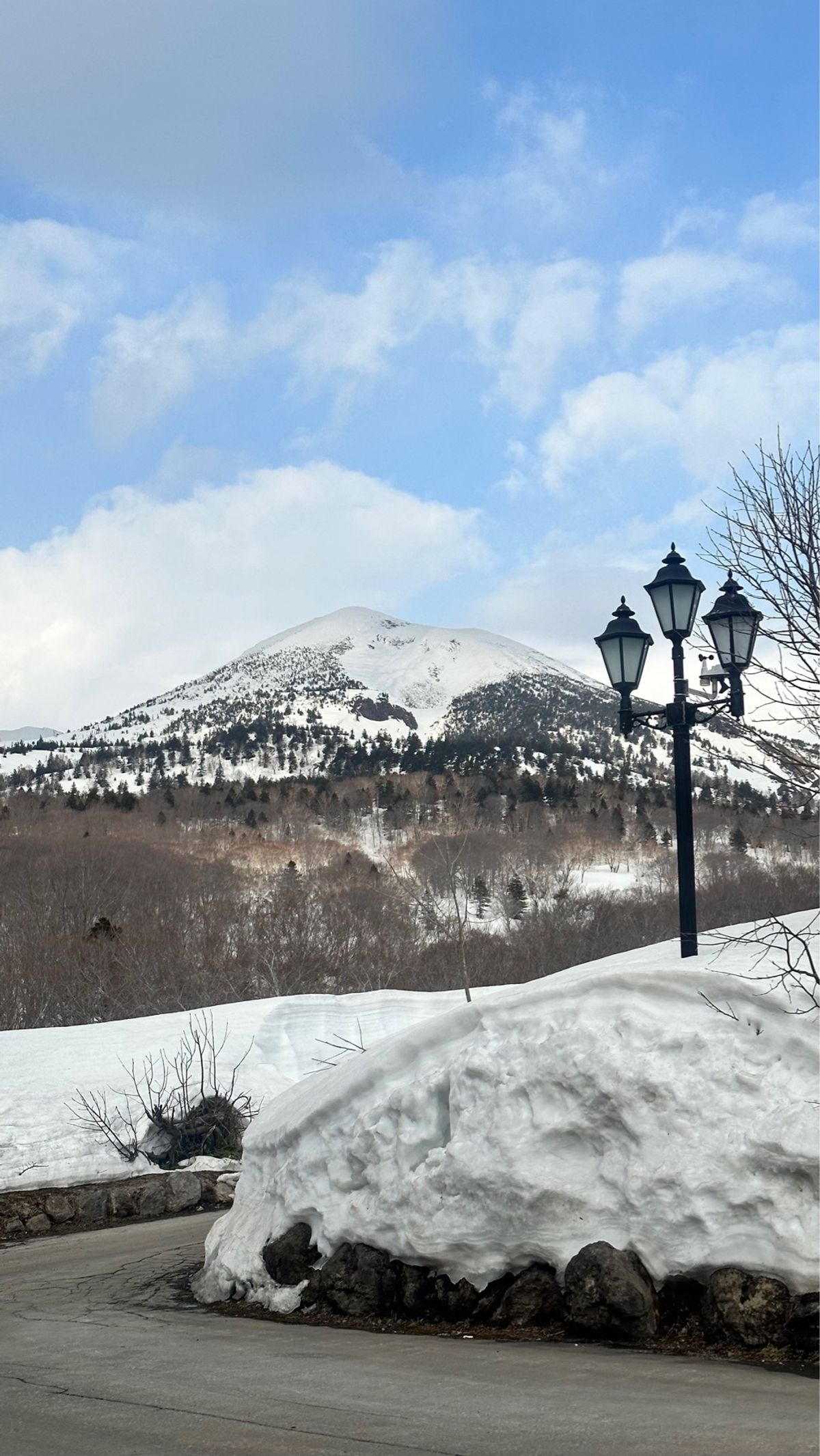 今年初の雪景色！