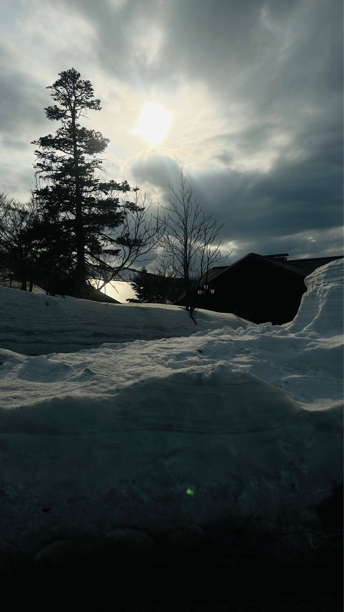 今年初の雪景色！