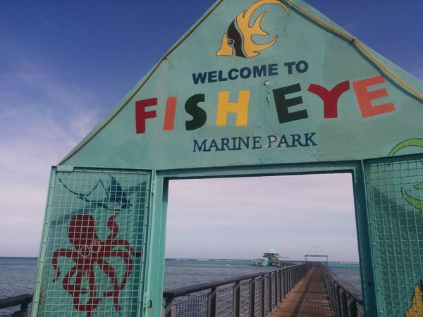 アメリカ(米国)・グアム「グアム」の写真