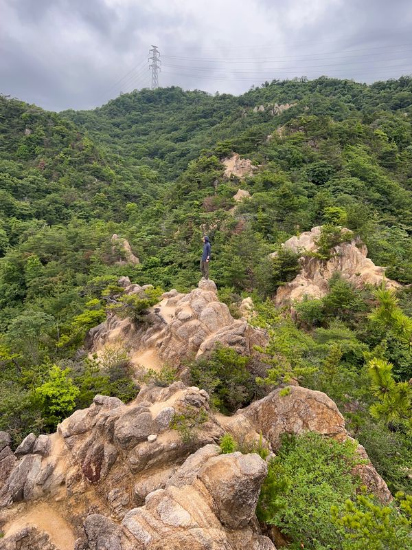 日本・兵庫県「出張&六甲山」の写真