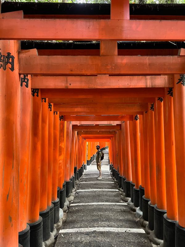 日本・京都府「京都」の写真