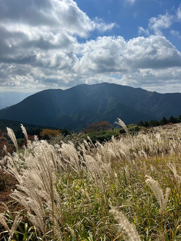 日本・大阪府「大阪出張&ダイトレ縦走」の写真