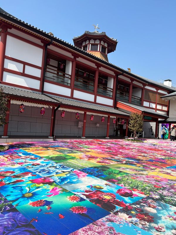 日本・愛媛県「松山高知旅」の写真