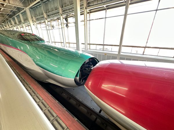 日本・松島「仙台・盛岡家族旅行」の写真：いつも山陽新幹線を見てるのでこのカラーも...