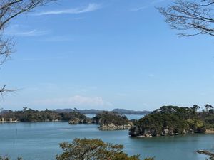 松島観光
天気も良く海も穏やか
ここまで暖かく穏やかだと瀬戸内海みたい
