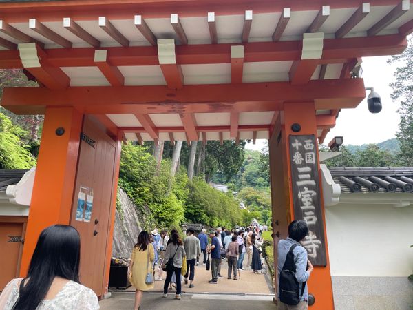 日本・京都府「京都2人旅」の写真