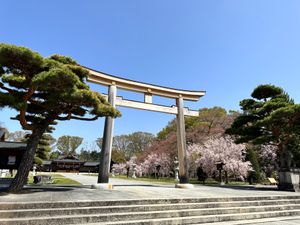 1日目高遠城址公園、高島城、龍岡城
2日目松本城、長野県護国神社
高遠城址...