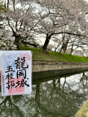 1日目高遠城址公園、高島城、龍岡城
2日目松本城、長野県護国神社
高遠城址...