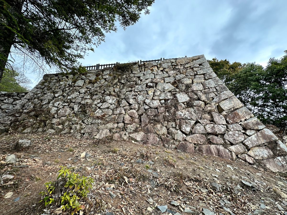 備中松山城
登るのが大変だった。