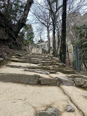 備中松山城
登るのが大変だった。