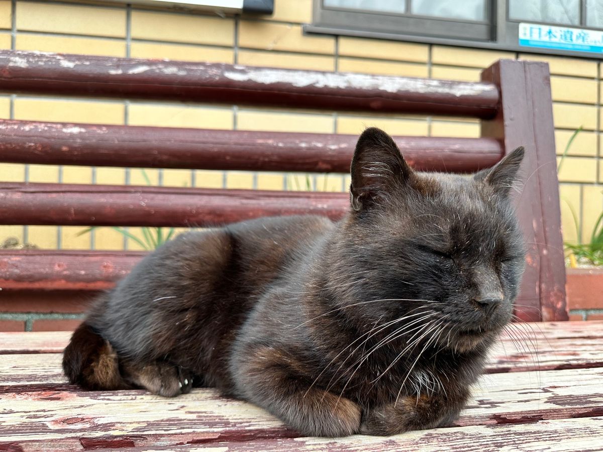 千光寺。
ロープウェイで下まで降りてラーメン屋さんへ向かうも行列の為、道路...